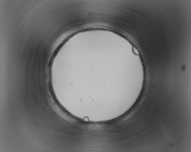 X0000115811082200912241909