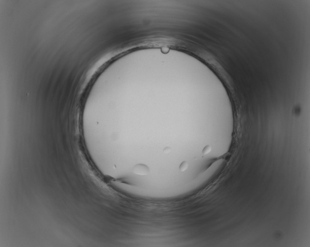 X0000115811083200912241909