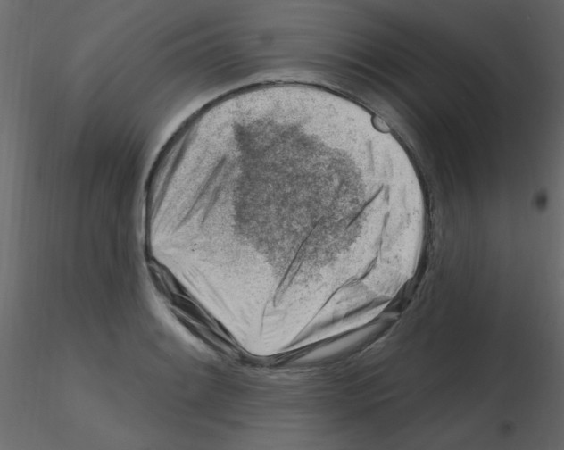 X0000115811084200912241909
