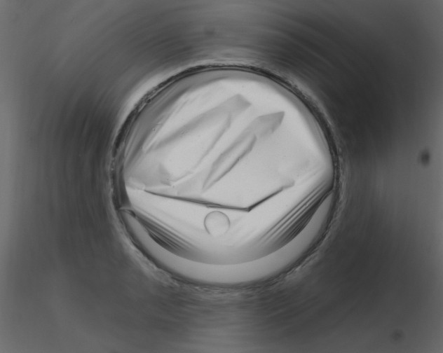 X0000115811085200912241909