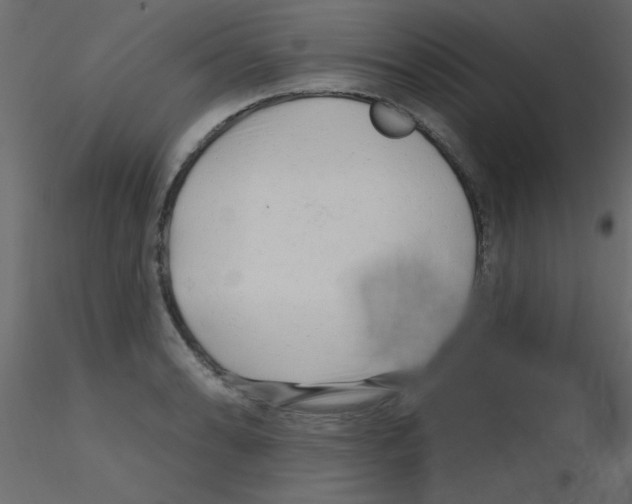 X0000115811086200912241909