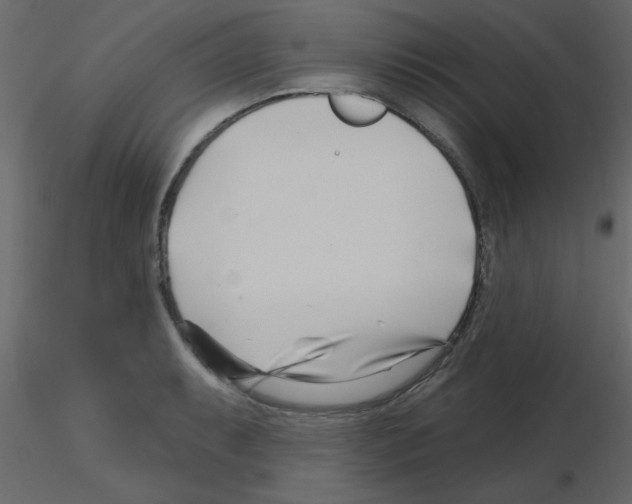 X0000115811087200912241909