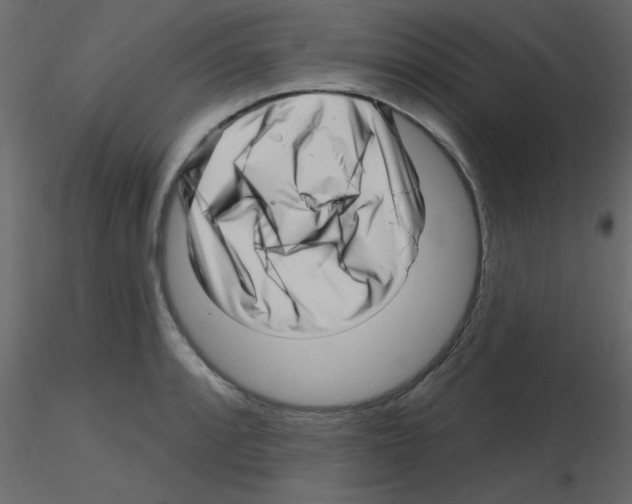 X0000115811088200912241909