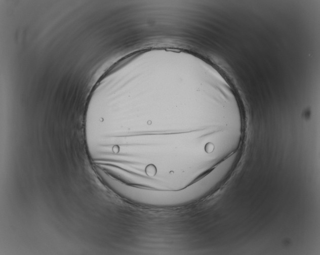 X0000115811089200912241909