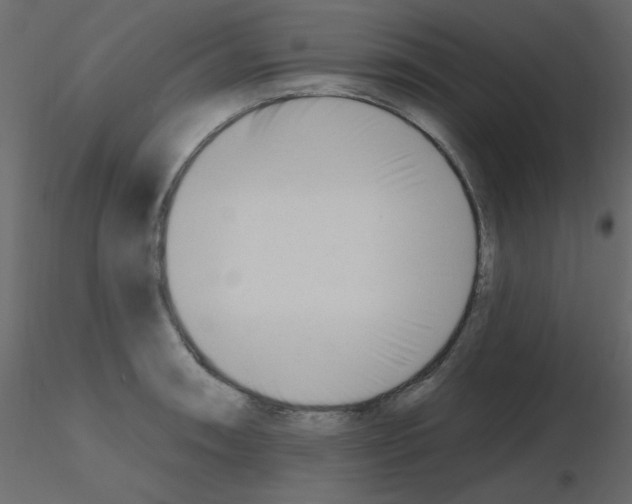 X0000115811090200912241909
