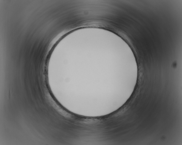 X0000115811091200912241909
