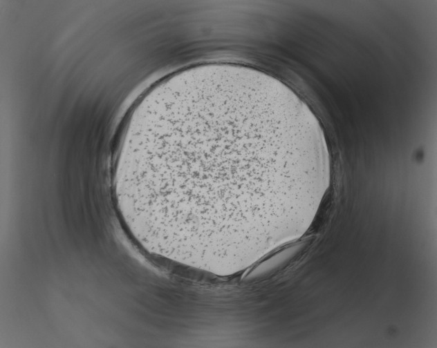 X0000115811092200912241909