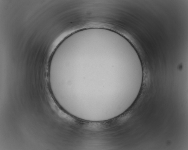 X0000115811094200912241909