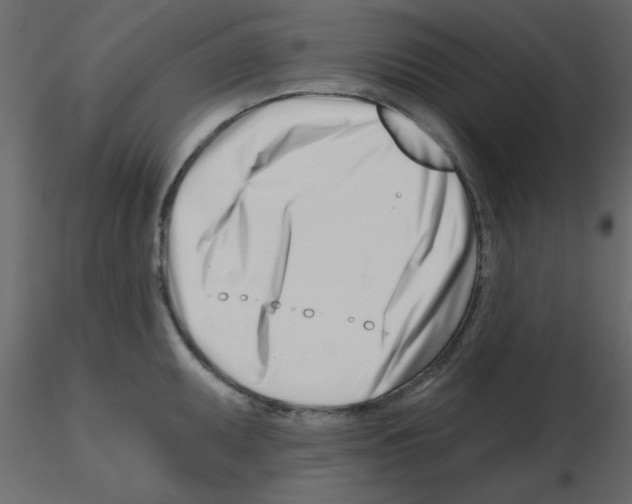 X0000115811095200912241909