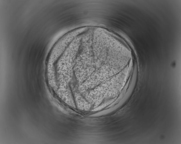 X0000115811096200912241909