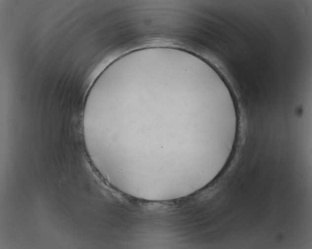X0000115811097200912241909
