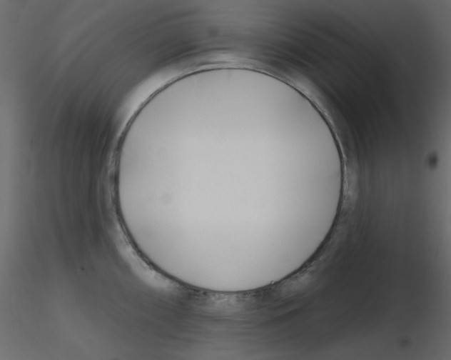 X0000115811098200912241909
