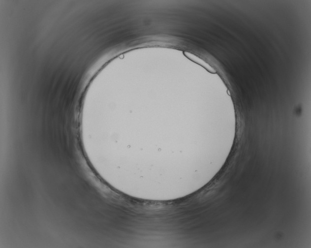 X0000115811099200912241909