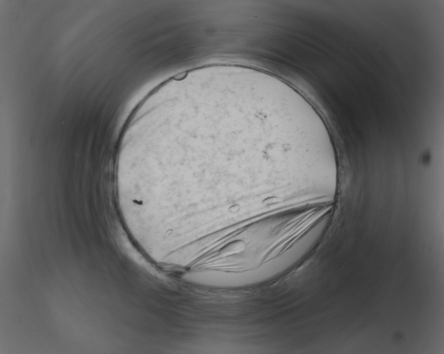 X0000115811100200912241909