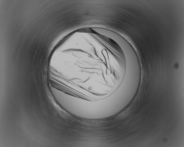 X0000115811101200912241909