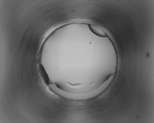 X0000115811102200912241909