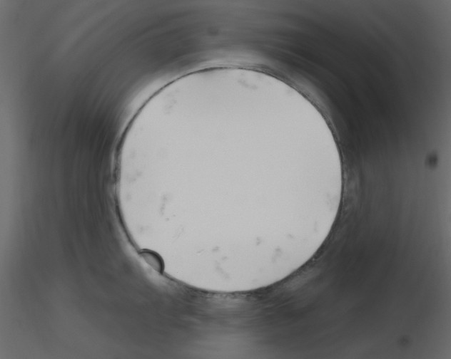 X0000115811103200912241908