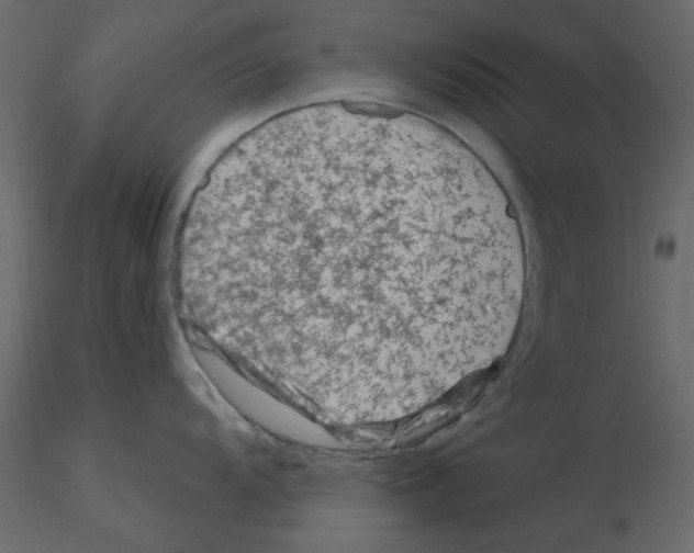 X0000115811104200912241908