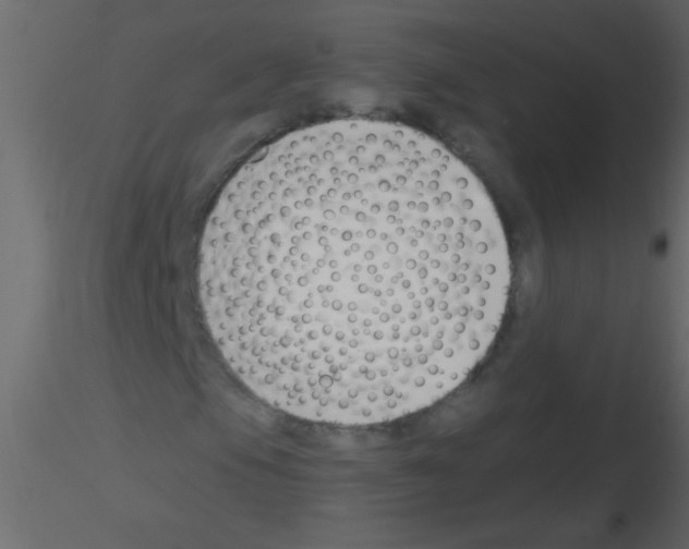 X0000115811105200912241908