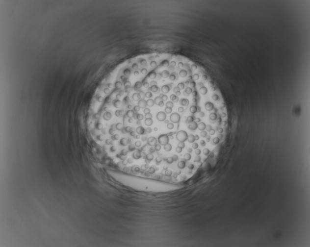 X0000115811106200912241908