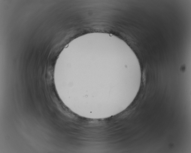 X0000115811107200912241908