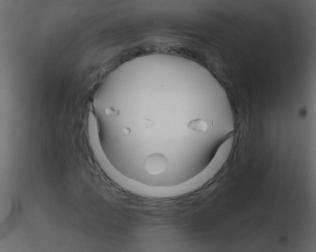 X0000115811109200912241908