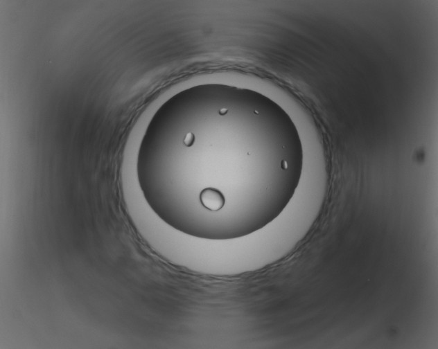 X0000115811110200912241908
