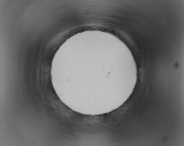 X0000115811111200912241908