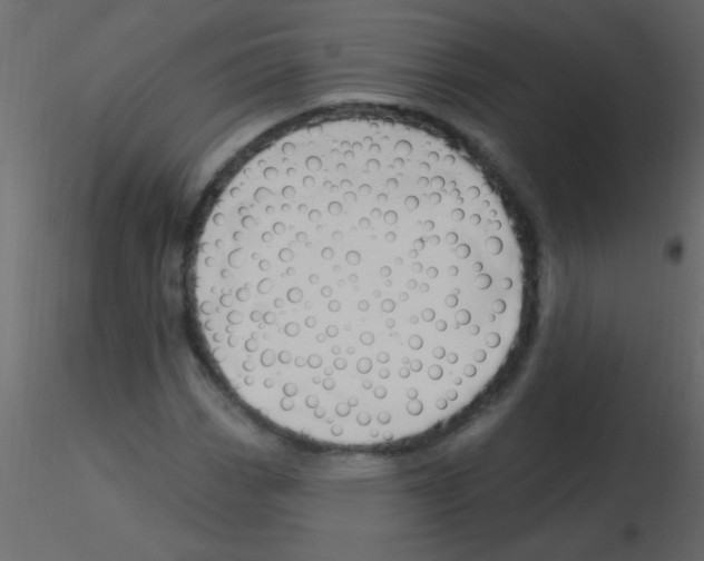 X0000115811113200912241908