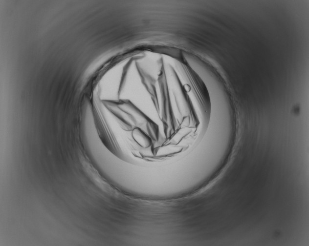 X0000115811114200912241908