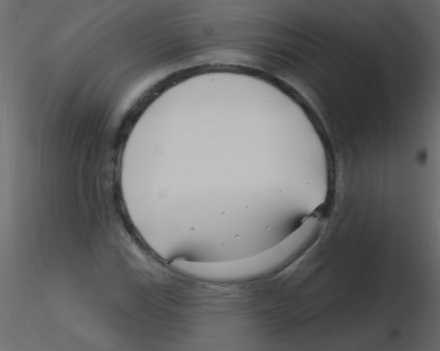 X0000115811115200912241908