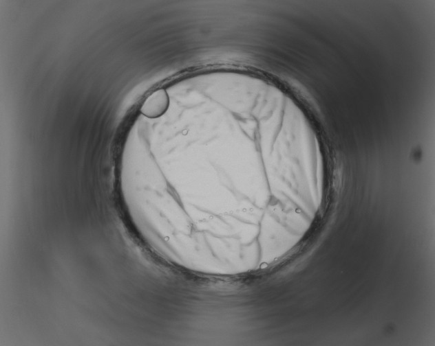 X0000115811117200912241908