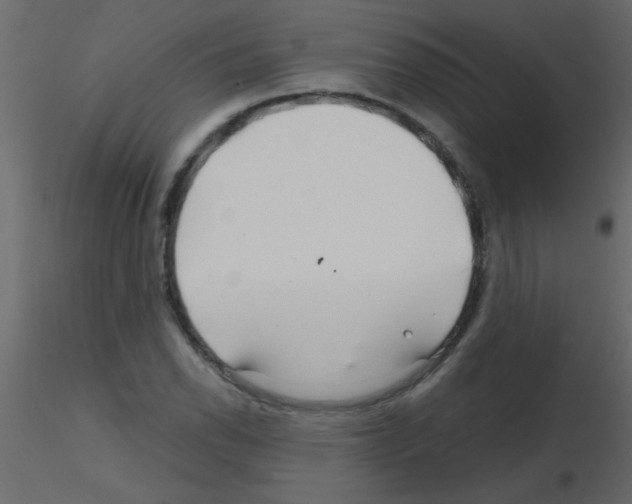 X0000115811118200912241908