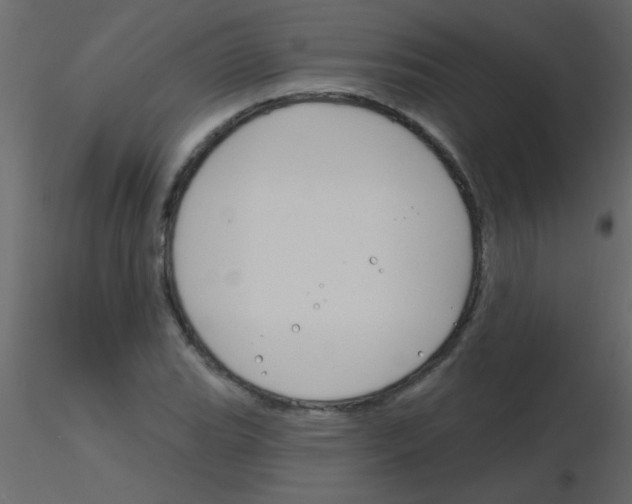 X0000115811119200912241908