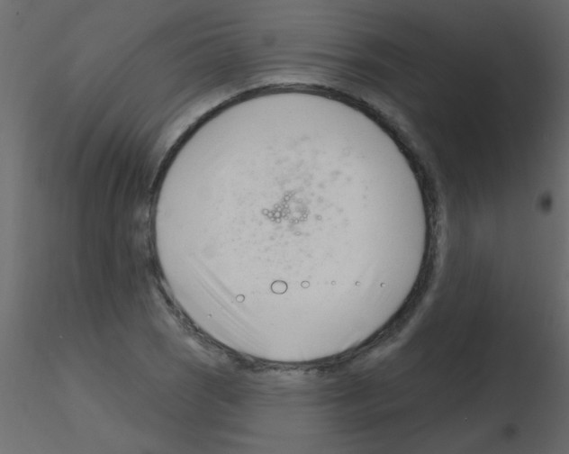 X0000115811121200912241908
