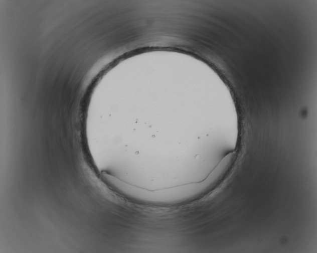 X0000115811122200912241908