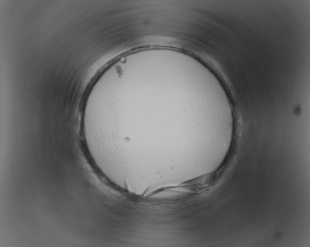 X0000115811125200912241908