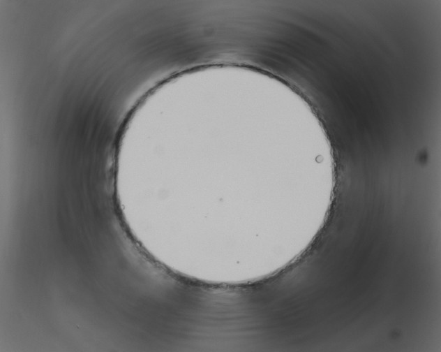X0000115811126200912241908