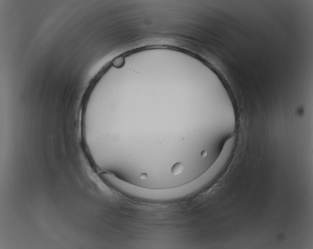 X0000115811127200912241908