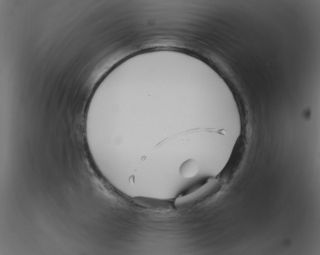 X0000115811129200912241908