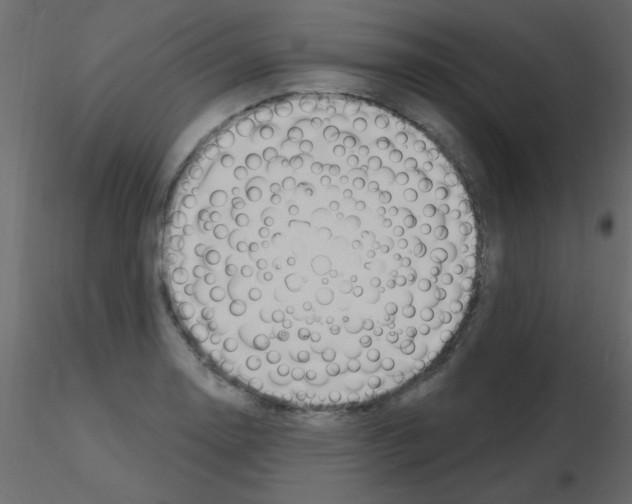 X0000115811130200912241908