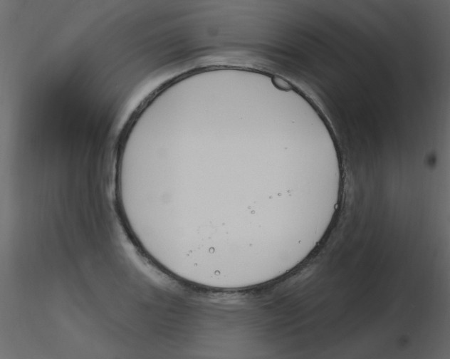 X0000115811131200912241908