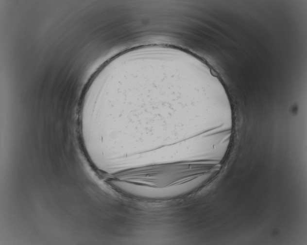 X0000115811134200912241908