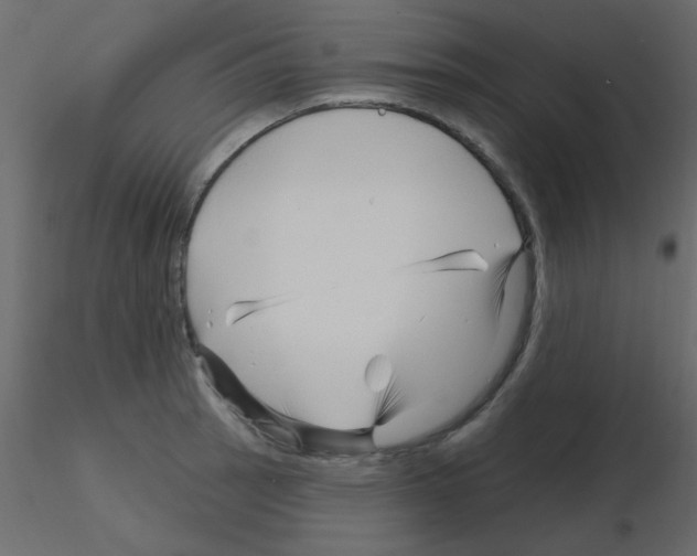 X0000115811137200912241908