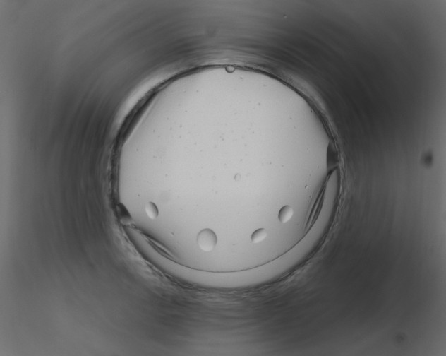 X0000115811138200912241908