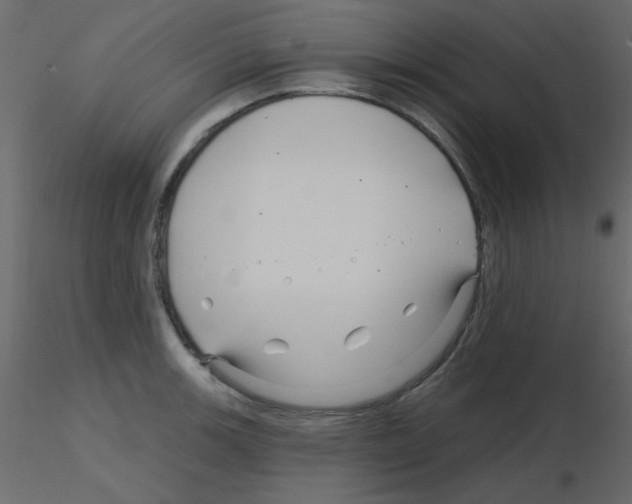 X0000115811139200912241908