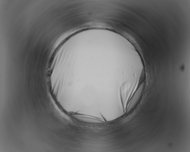 X0000115811141200912241908