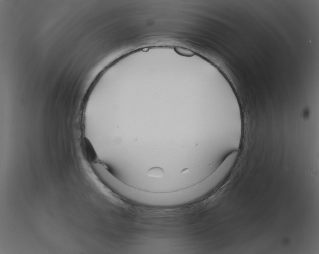 X0000115811142200912241908
