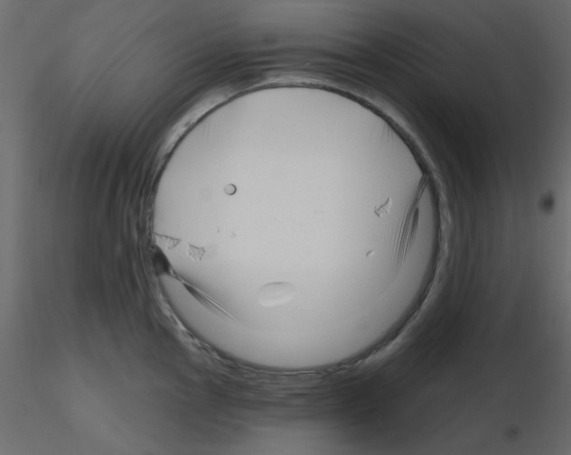X0000115811145200912241908