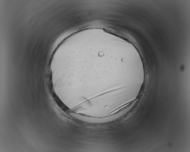 X0000115811146200912241908